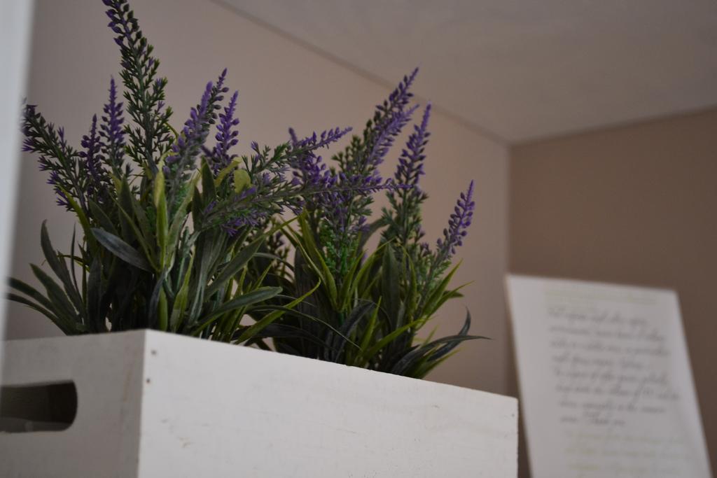 Myricae Bed & Breakfast Matera Exterior photo